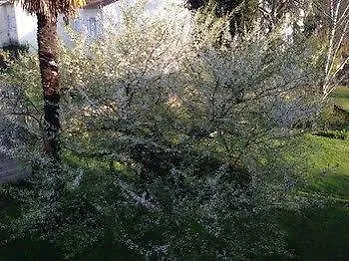 فندق مبيت وإفطار Vraie D'hotes Jusqu'a 4 Pers, Stationnement Gratuit, Prise Batterie نيورْ